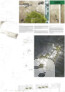 Ankauf: r   b landschaft & architektur, Dresden