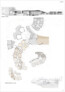 3. Preis: brains and bricks Matthias Kruppa Architektur GmbH, München