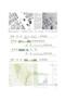2. Preis: kunze seeholzer architektur & stadtplanung, München
