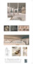 1. Preis: Starh – Arhitecturaˇ · Contructii · Design, 