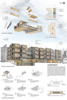 TIMBER IN THE CITY: Urban Habitat Competition