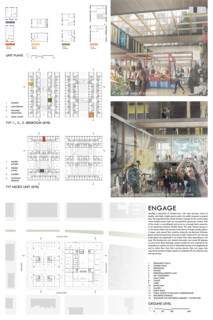 TIMBER IN THE CITY: Urban Habitat Competition