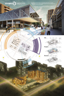 TIMBER IN THE CITY: Urban Habitat Competition