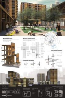 TIMBER IN THE CITY: Urban Habitat Competition