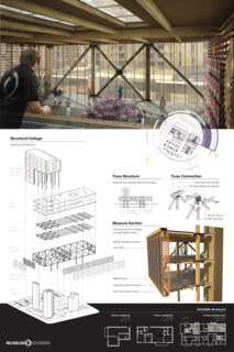 TIMBER IN THE CITY: Urban Habitat Competition