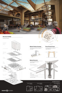 TIMBER IN THE CITY: Urban Habitat Competition