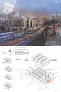 TIMBER IN THE CITY: Urban Habitat Competition