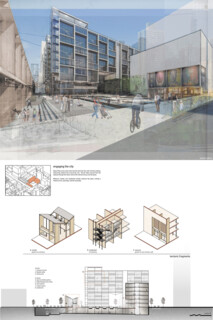 TIMBER IN THE CITY: Urban Habitat Competition