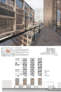 TIMBER IN THE CITY: Urban Habitat Competition