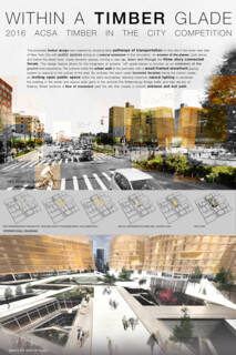 TIMBER IN THE CITY: Urban Habitat Competition