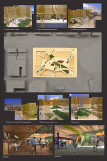 TIMBER IN THE CITY: Urban Habitat Competition