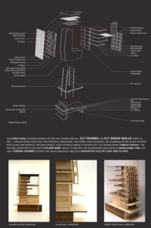 TIMBER IN THE CITY: Urban Habitat Competition