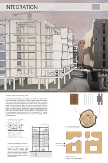 TIMBER IN THE CITY: Urban Habitat Competition