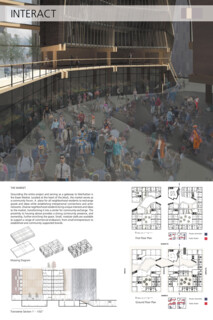 TIMBER IN THE CITY: Urban Habitat Competition