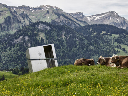 Bauherrenpreis der Zentralvereinigung der ArchitektInnen Österreichs 2018