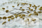 Anerkennung: sdks architekten dummert sonek partner mbB, Darmstadt