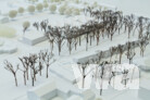 3. Preis: gernot schulz : architektur gmbh, Köln