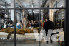 1. Preis: Ortner & Ortner Baukunst Gesellschaft von Architekten mbH, Berlin-Charlottenburg