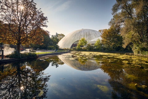 Multihalle  – Democratic Umbrella