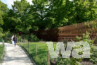 garden & fence