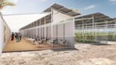 Preisträger | Eine-Welt-Zusammenarbeit: SUNfarming GmbH, Deutschland
