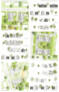 2. Preis Städtebau/Freiraum 
2. Preis Architektur: pbs architekten Gerlach Wolf Böhning Planungsges. mbH, Aachen