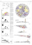 Gewinner: Kai Faust · Martina Heims, Hochschule Geisenheim University