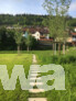 Plattenpfad zur Götzenbachmündung, Saum aus Weidenbäumen und Wildkräuterwiese 