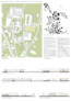 1. Preis: PLOV Architekten Ziviltechniker GmbH, Wien