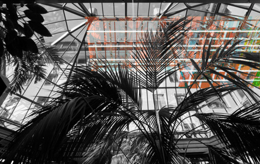 Umsetzung einer künstlerischen Beleuchtung für den Palmengarten im Luitpoldblock