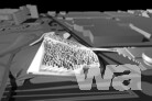 3. Preis: Zaha Hadid Architects, London 