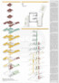 4. Preis: NOVARTIS SRL, Bukarest