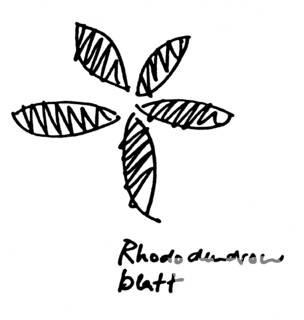 Rhodarium – Erweiterung Rhododendron Park