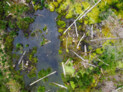 Auszeichnung | Kategorie: Landschaftsplanung & Landschaftsentwicklung | Gigantischer Kohlenstoffspeicher - Renaturierung eines abgetorften Hochmoors zur Herstellung eines privaten Ökokontos im Ascholdinger Filz | Entwurfsverfasser: Logo verde Ralph Kulak | © Laura Loewel