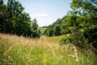 Auszeichnung | Kategorie: Nachhaltige Stadtentwicklung | Grüne Hänge in Freising | Entwurfsverfasser: WGF Landschaft Landschaftsarchitekten GmbH, Nürnberg und Die Stadtentwickler GmbH, Kaufbeuren | © Laura Loewel