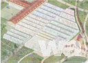 Masterplan Mainau 2040 mit Palmenhaus