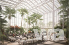 Masterplan Mainau 2040 mit Palmenhaus