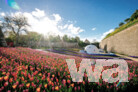 Festungsgraben mit „Erfurter Gartenschätzen“ | © BUGA Erfurt 2021 gGmbH, Steve Bauerschmidt