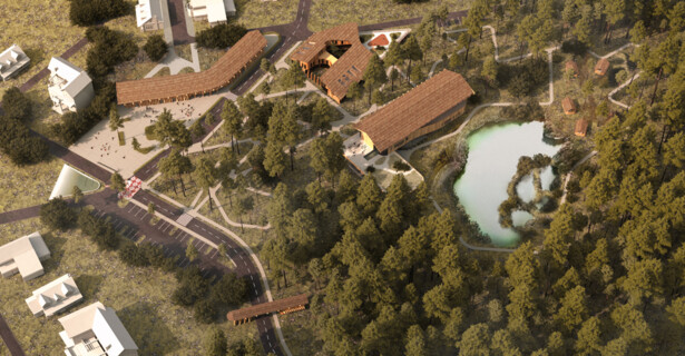 Development of a Recreational Area in „Papushevo Park“ Cottage Settlement