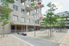 Stadtelefant