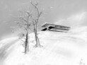 Winter | © AllesWirdGut