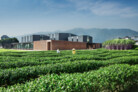 Nominierung: DnA_Design and Architecture, Peking / Xu TianTian · Brown Sugar Factory, Lishui, China · © Wang Ziling