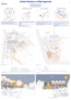 Europan 16 – Living Cities – Lebendige Städte