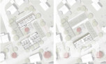 1. Preis Schwille Architektenpartnerschaft mbB, Reutlingen · frei raum concept Sinz-Beerstecher + Böpple PartGmbB, Rottenburg a.N.