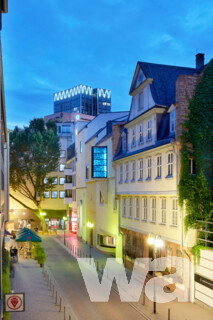 Goethehöfe - Deutsches Romantik-Museum | © Freies Deutsches Hochstift / Alexander Paul Englert