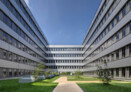Continental Regensburg