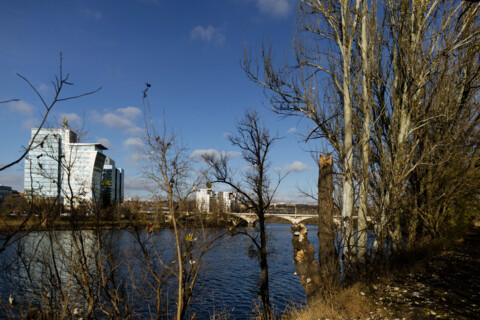 Transformation of Rohan and Libeň Island