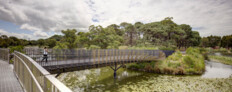 Bara Bridge, Centennial Parklands, Sydney | Sam Crawford Architects | Photo: © Brett Boardman