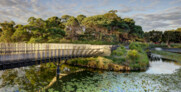 Bara Bridge, Centennial Parklands, Sydney | Sam Crawford Architects | Photo: © Brett Boardman