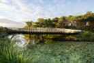 Bara Bridge, Centennial Parklands, Sydney | Sam Crawford Architects | Photo: © Brett Boardman